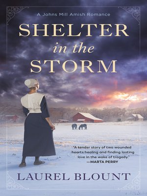 cover image of Shelter in the Storm